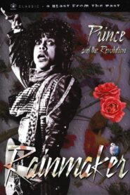Prince and the Revolution: The Makings Of Rain 1983 on netflix
