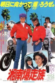 Bomber Bikers of Shonan 1987 on netflix