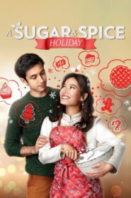 A Sugar & Spice Holiday 2020 on netflix