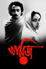 The Case Is Closed 1982 on netflix