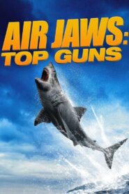 Air Jaws: Top Guns 2022 on netflix