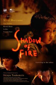 Shadow of Fire 2023 on netflix