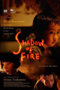 Shadow of Fire 2023 on netflix