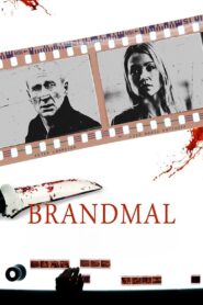 Brandmal 2015 on netflix
