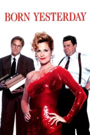 Born Yesterday 1993 on netflix