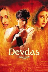 Devdas 2002 on netflix