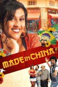 Made in China 2014 on netflix