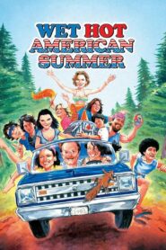 Wet Hot American Summer 2001 on netflix