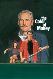 The Color of Money 1986 on netflix