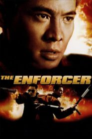 The Enforcer 1995 on netflix