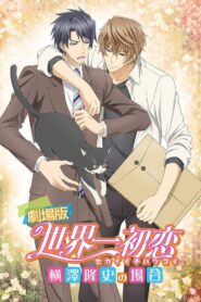Sekaiichi Hatsukoi Movie 2014 on netflix