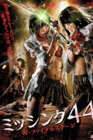 Missing 44 The Final Stage 2010 on netflix