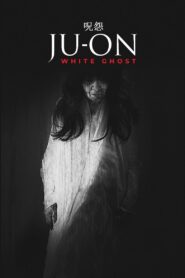 Ju-On: White Ghost 2009 on netflix