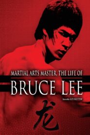 The Life of Bruce Lee 1994 on netflix