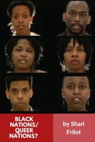 Black Nations/Queer Nations? 1995 on netflix