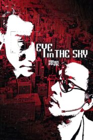 Eye in the Sky 2007 on netflix