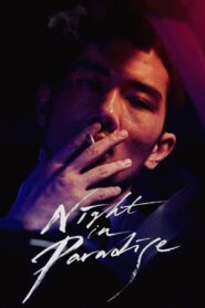 Night in Paradise 2020 on netflix