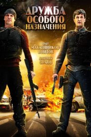 Дружба особого назначения 2012 on netflix