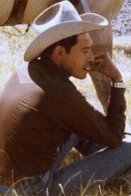 Standing Alone 1982 on netflix