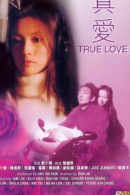 True Love 2000 on netflix