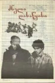 A Difficult Beginning 1981 on netflix