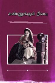 Kannukkul Nilavu 2000 on netflix