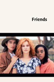 Friends 1993 on netflix