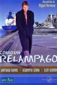 Like a Bolt of Lightning 1996 on netflix