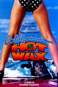 California Hot Wax 1992 on netflix