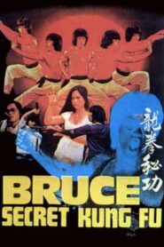 Bruce’s Secret Kung Fu 1988 on netflix