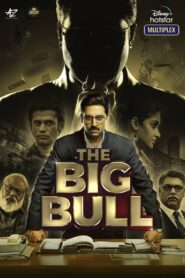 The Big Bull 2021 on netflix