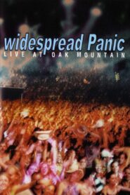 Widespread Panic: Live at Oak Mountain 2001 on netflix