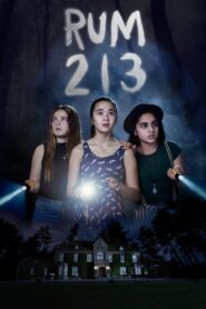 Room 213 2017 on netflix