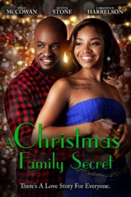 A Christmas Family Secret 2023 on netflix