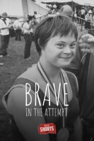 Brave in the Attempt 2015 on netflix