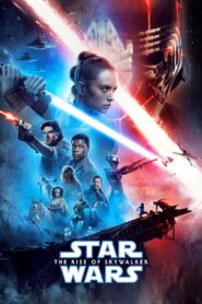 Star Wars: The Rise of Skywalker 2019 on netflix