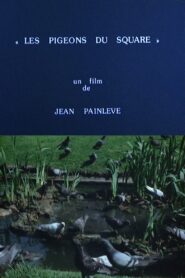 Pigeons in the Square 1982 on netflix