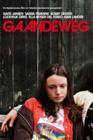 Gaandeweg 2008 on netflix
