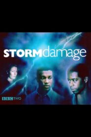 Storm Damage 2000 on netflix