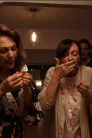 Mango Season 2020 on netflix