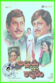 Alludu Diddina Kapuram 1991 on netflix