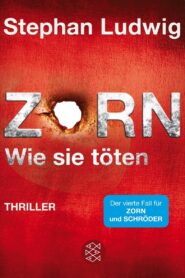 Zorn – Wie sie töten 2016 on netflix