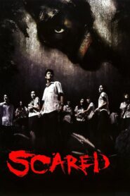 Scared 2005 on netflix
