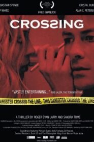 Crossing 2007 on netflix