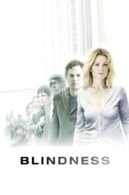 Blindness 2008 on netflix