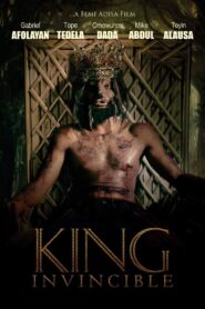 King Invincible 2017 on netflix