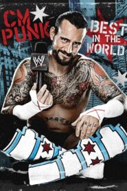 CM Punk: Best in the World 2012 on netflix