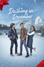 Dashing in December 2020 on netflix