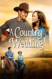 A Country Wedding 2015 on netflix