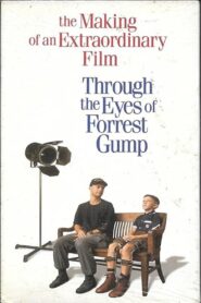 Through the Eyes of Forrest Gump 1994 on netflix